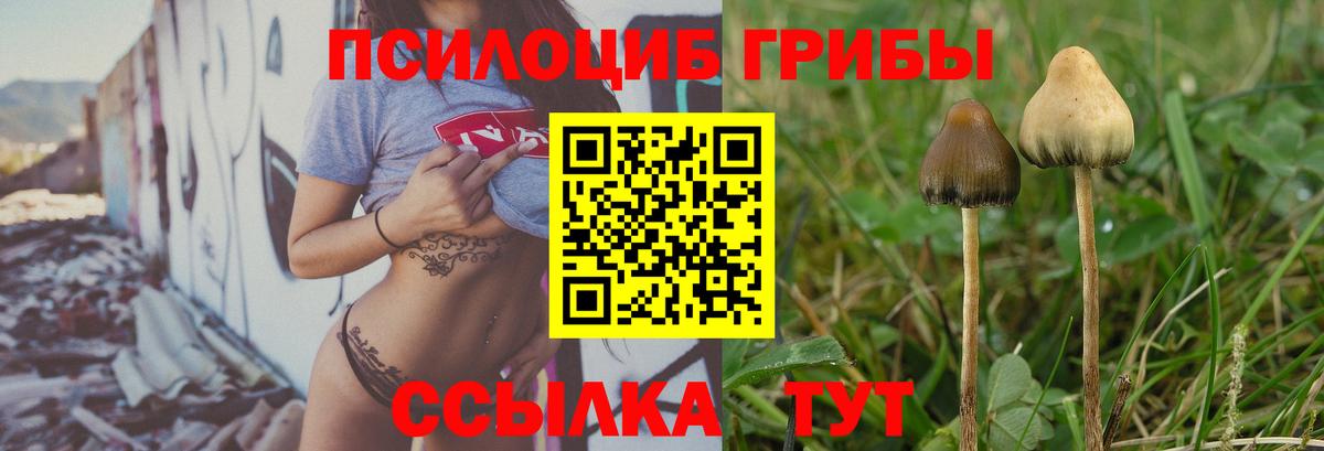 Галлюциногенные грибы Psilocybe  Галлюциногенные грибы прущие грибы  Оренбург  Вход с VPN 